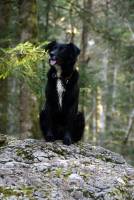 Sébastien MAUPAS - SEBASTIEN MAUPAS PHOTOGRAPHY